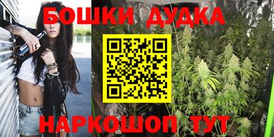 ECSTASY Новозыбков