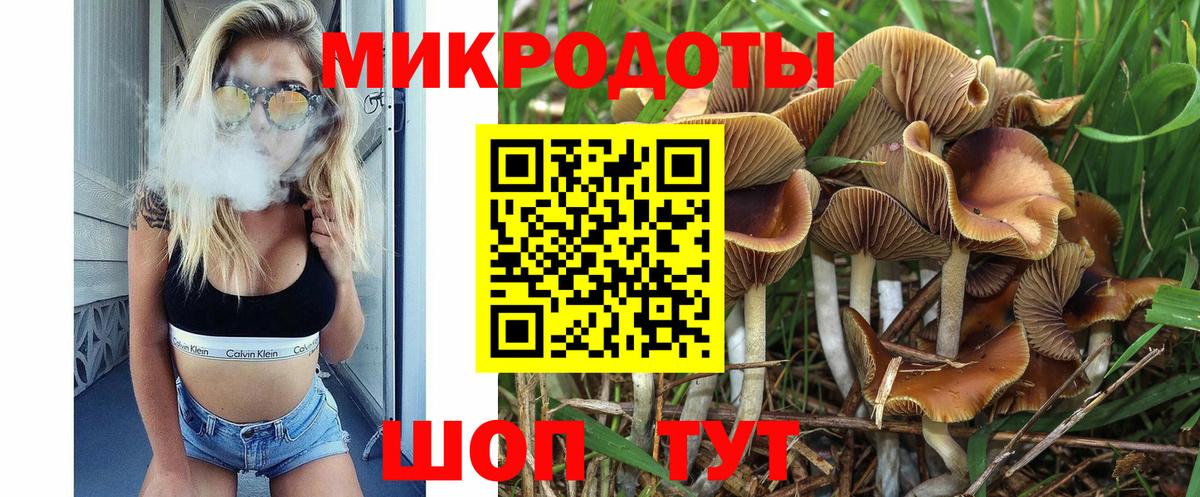 Псилоцибиновые грибы Psilocybine cubensis Тулун